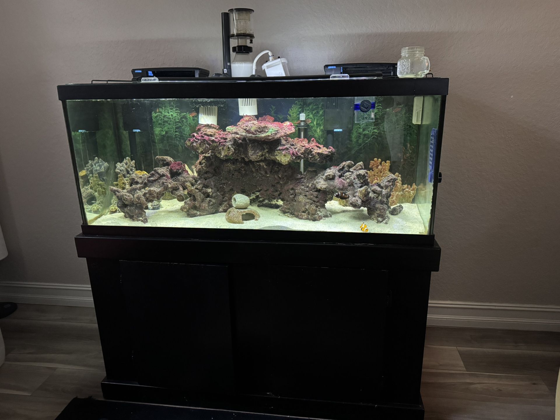 Fresh Water fish tank/Aquarium With Stand & 2 Filters - 75 Gallons