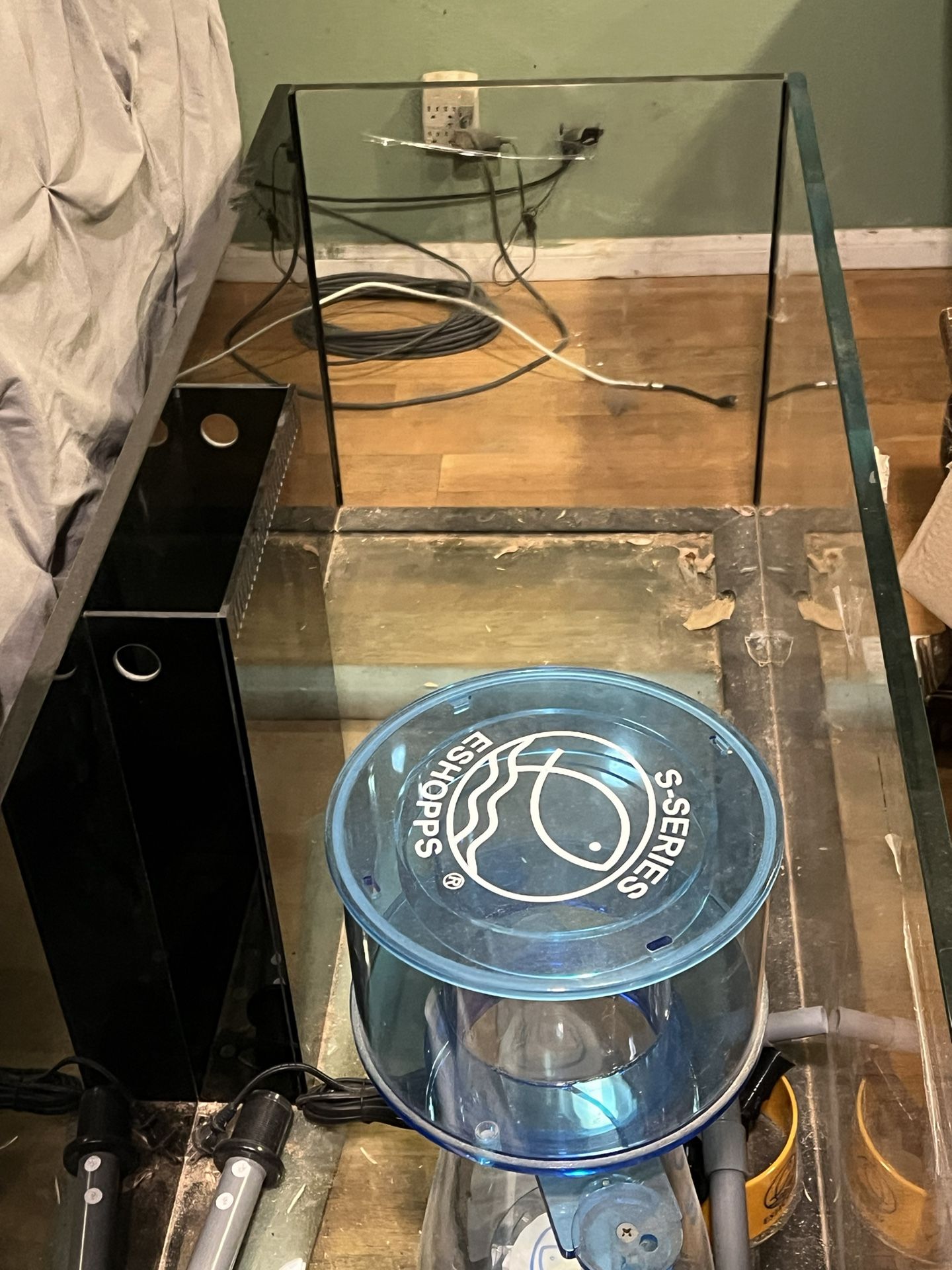 Fish Tank New