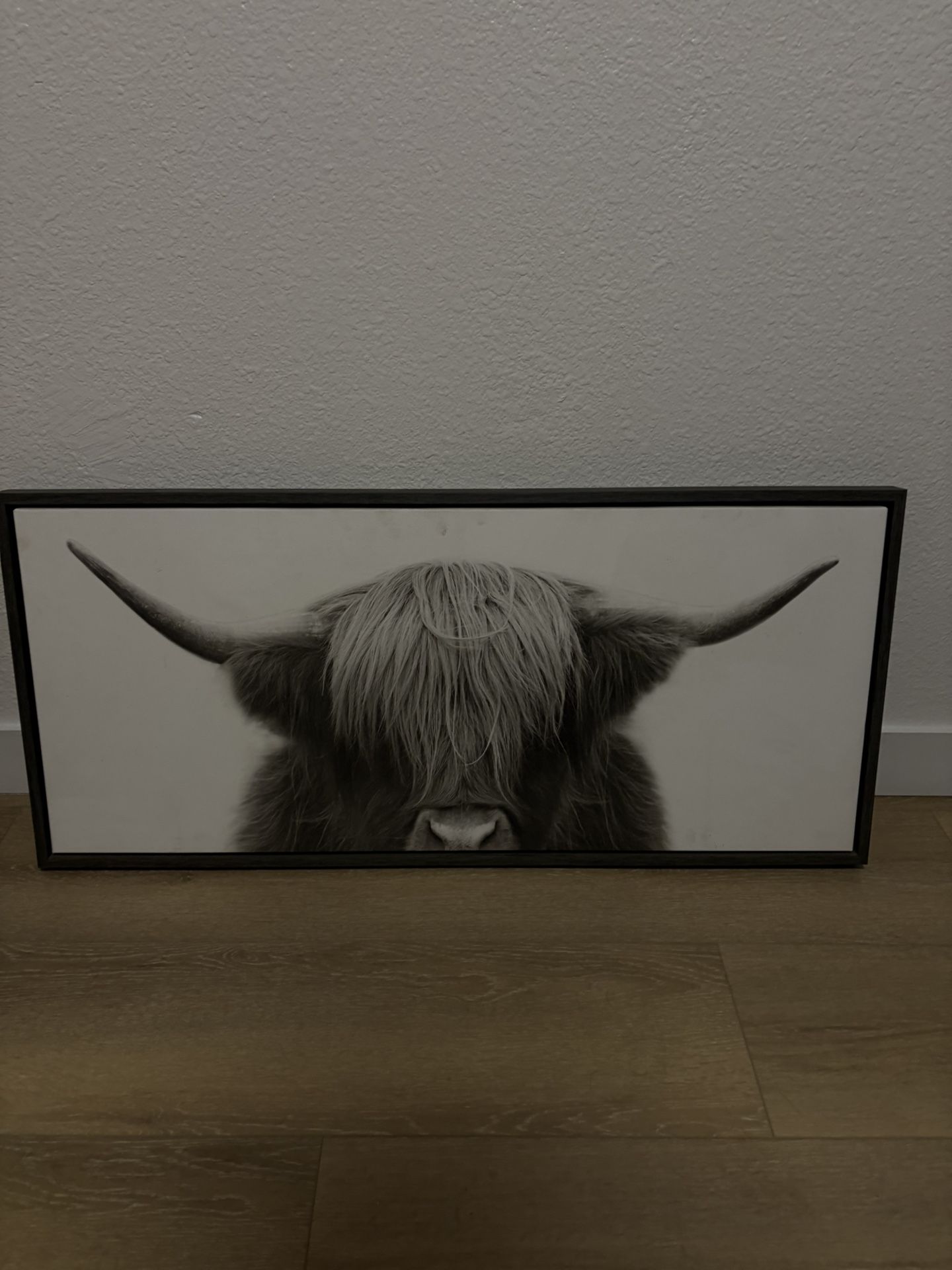 Cow Wall Decor