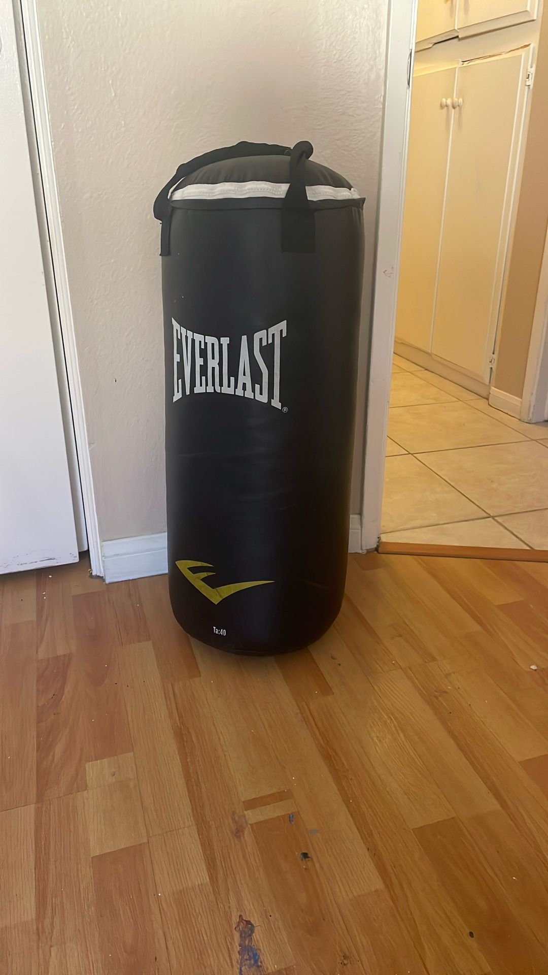 Everlast Punching Bag