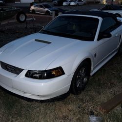 Mustang 
