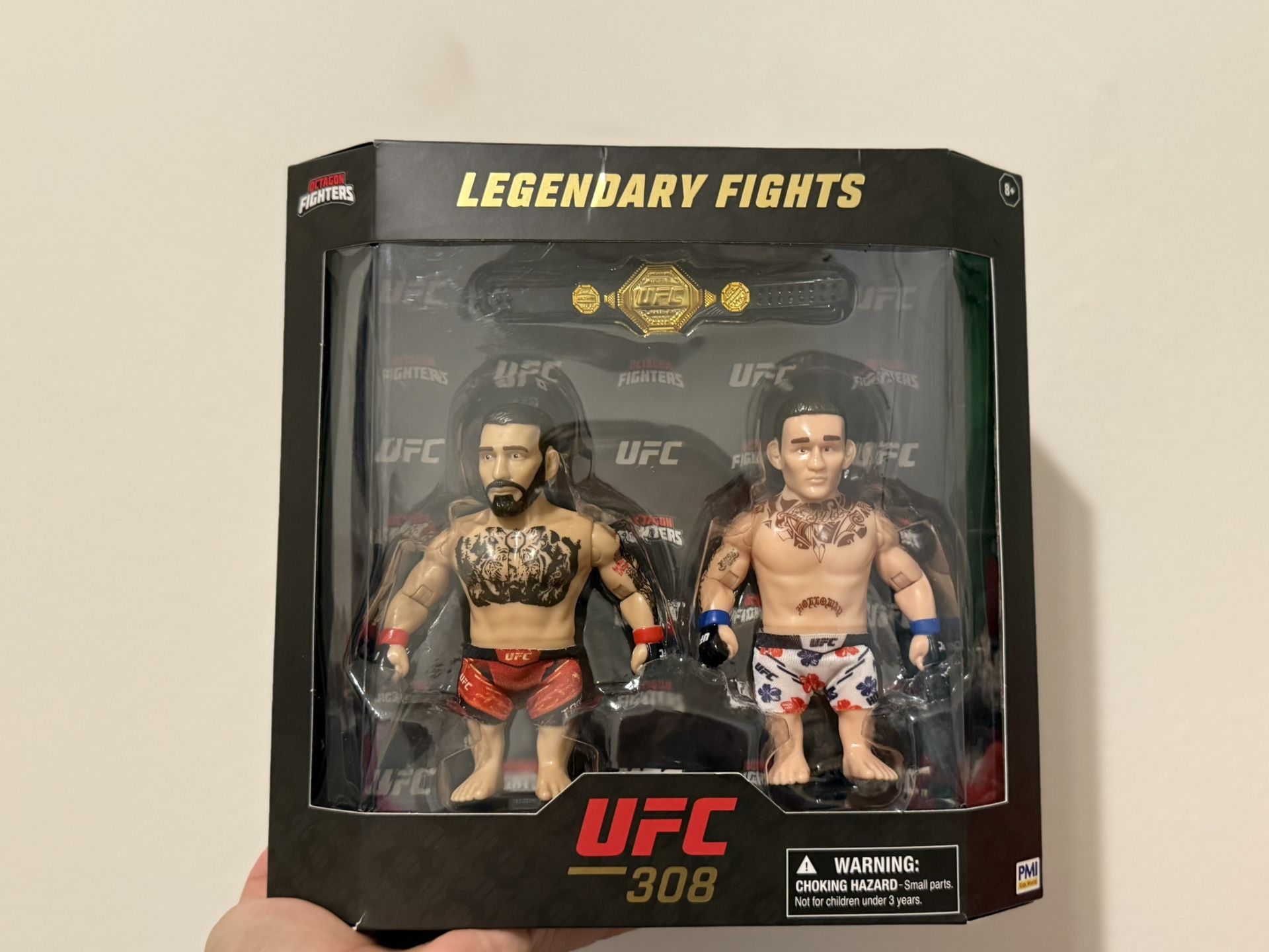 UFC octagon Fighters