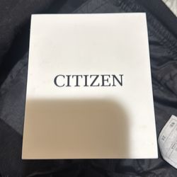 citizen stainless steel watch automatic