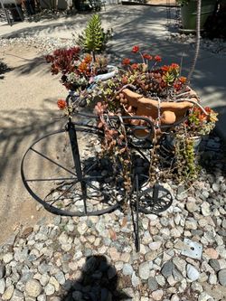 Plant with stand