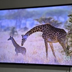 TCL 55 Inches