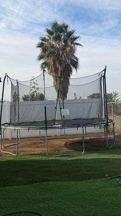 Trampoline 14”