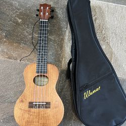 Ukulele With Case