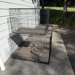 Dog Kennels