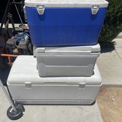 Bingo Kit & Cooler 