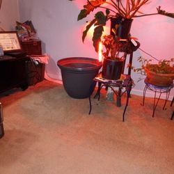 Extra Large Flower Pot