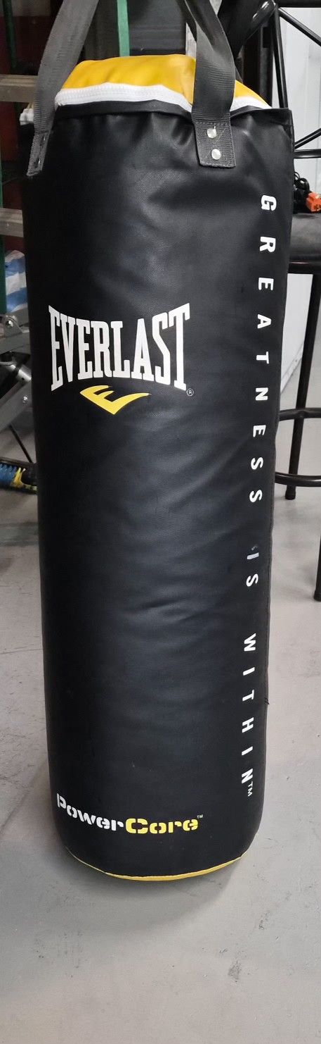 Boxing Bag Everlast