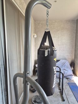 Ever Last Punching Bag
