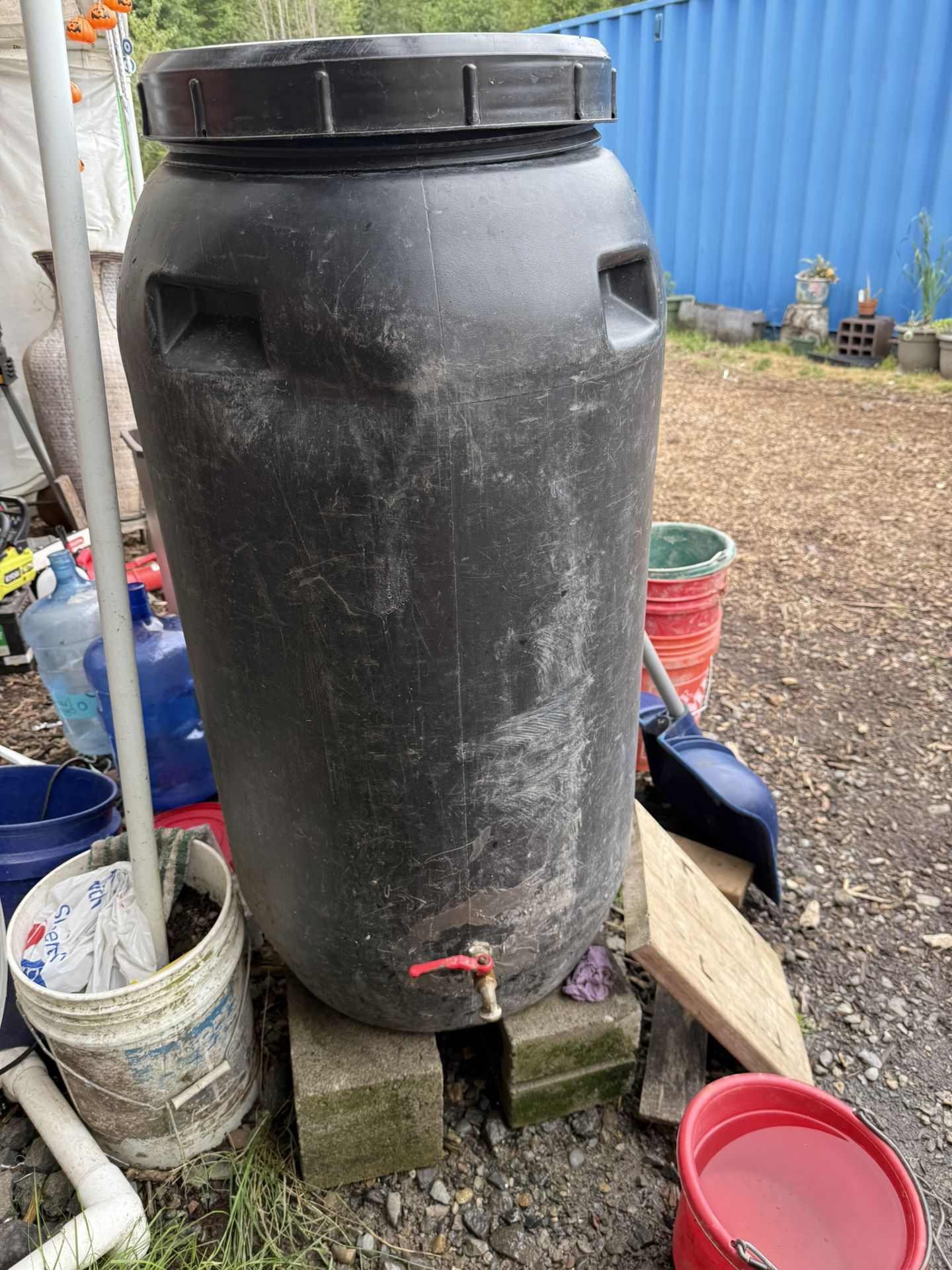 Rain catching barrels
