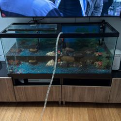 75 Gallon Tank Aqueon