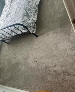 Carpet Clenr 