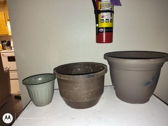 3 pots for the price of 1 !!! 