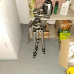 Bogan