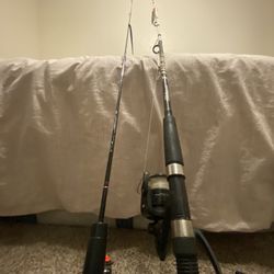 Shakespeare Rods