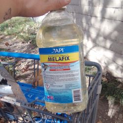 API Pimafix Freshwater & Saltwater Fish Fungal Infection Remedy, 64-oz bottle