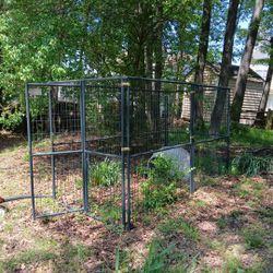Dog Kennel And House