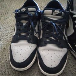 Nike Dunks Size 11