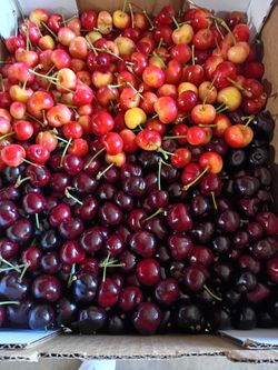 North side cherries 25.00 a box and 30.00 Rainers 9416 Hickock drive Stockton CA.