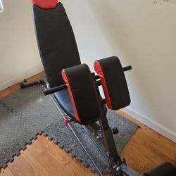 Workout Bench. Adjustable 