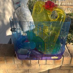 Hamster Cage With A Bunch Of Hamster Stuff.