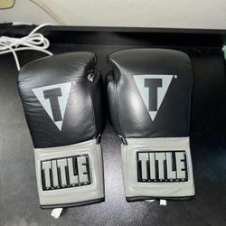 Title Boxing Gloves Platinum Pro Fight Style 8oz