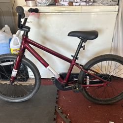 20 inch batch bike 