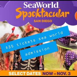Cheap Sea World Tickets