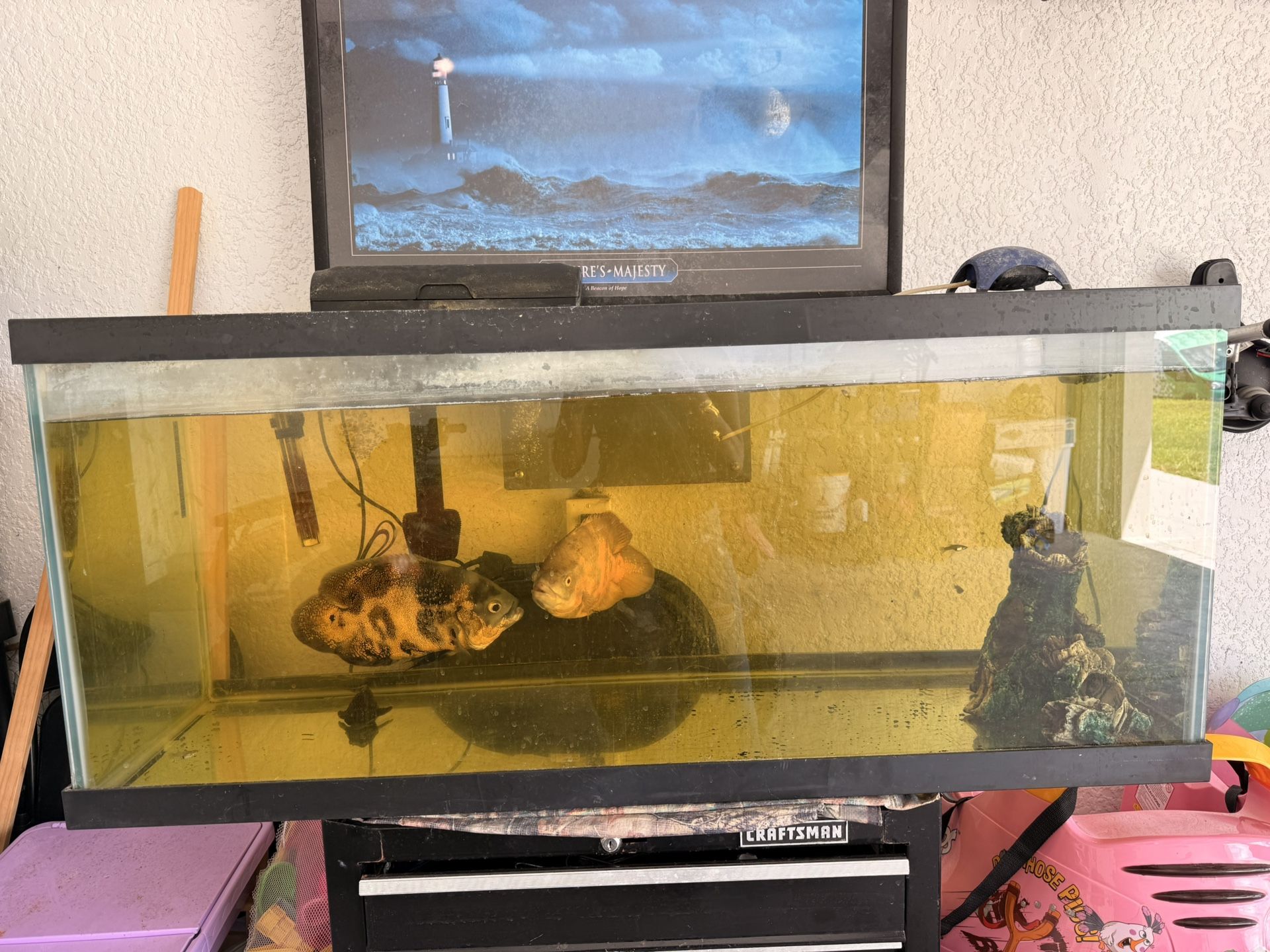 100 Gallon Tank