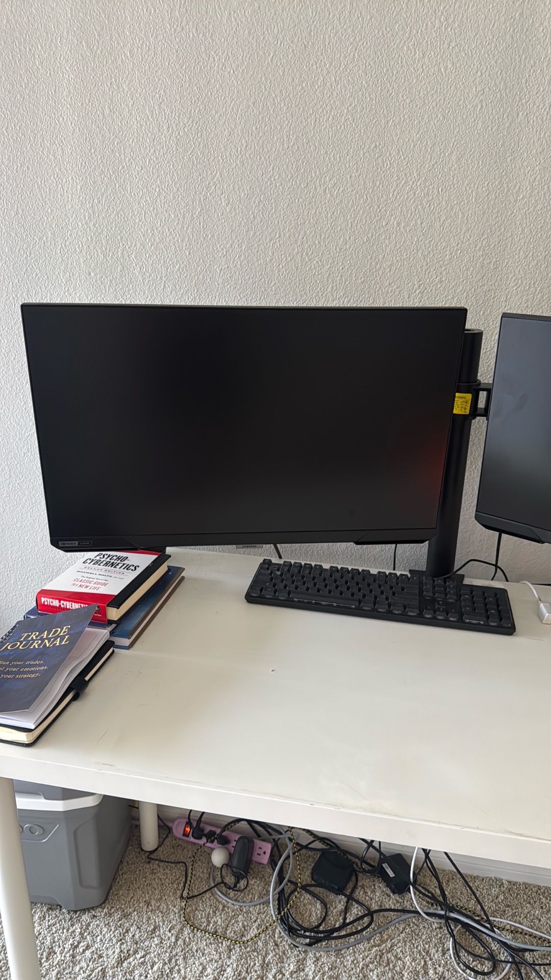Dual Monitor Setup