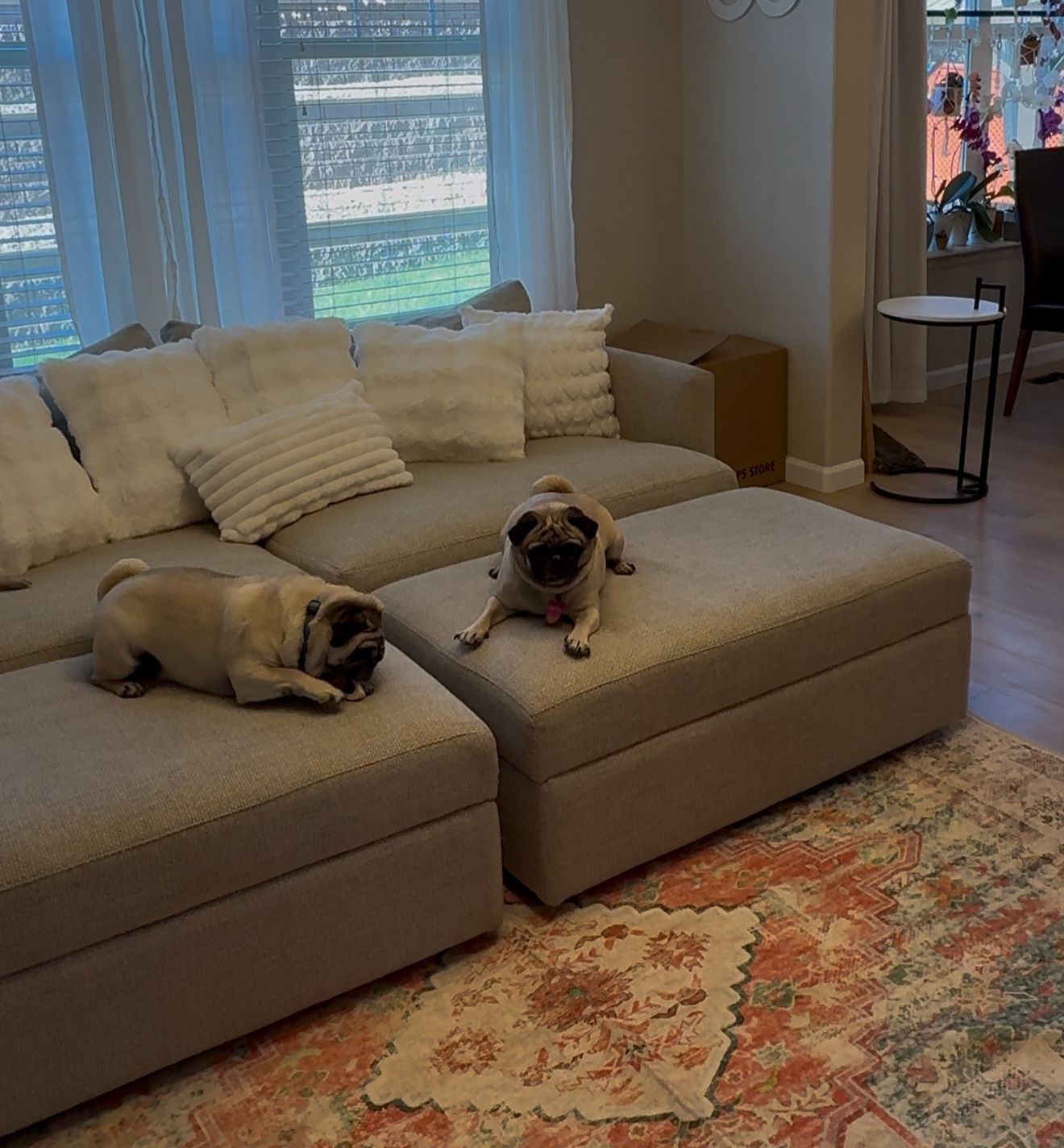 Matching Crate & Barrel Loveseats, Sofa, And Ottomans – Clean, Comfy, & Elegant