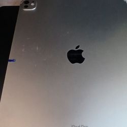 IPAD PRO 13