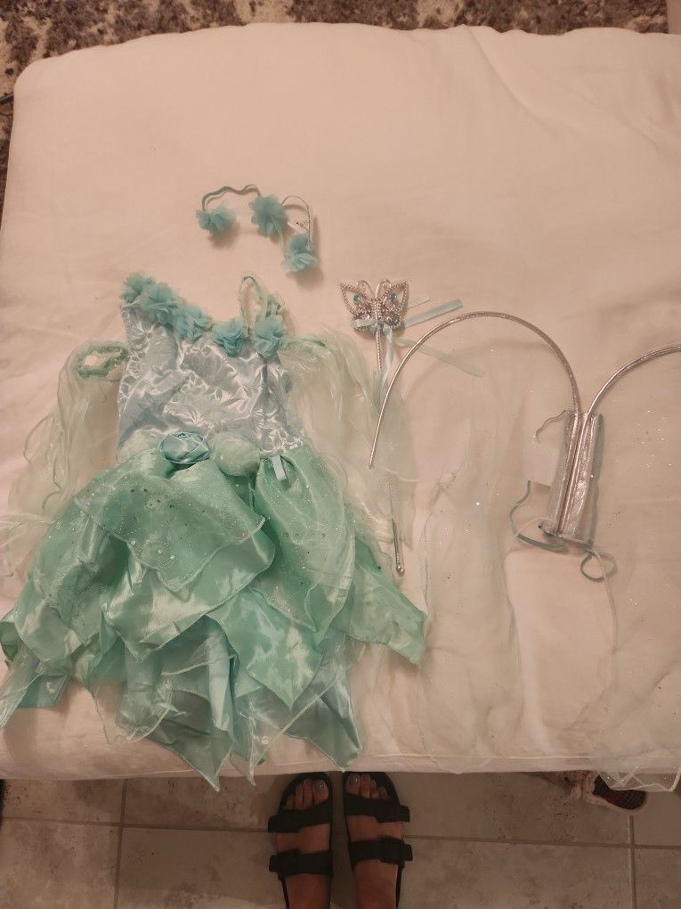 Fairy Costume 