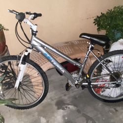 2.6 TERRA BIKE