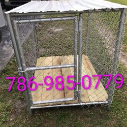 Dog Kennels Florida 🐕