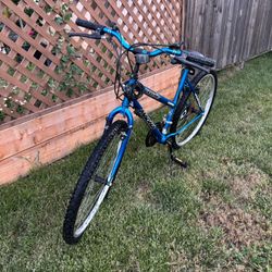 Blue Magna Glacier Point Bike with 15 Speeds