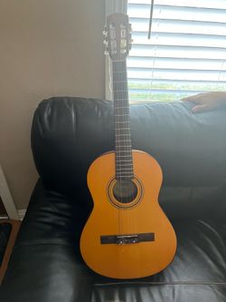Fender Acoustics