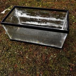 40 Gallon Fish Tank
