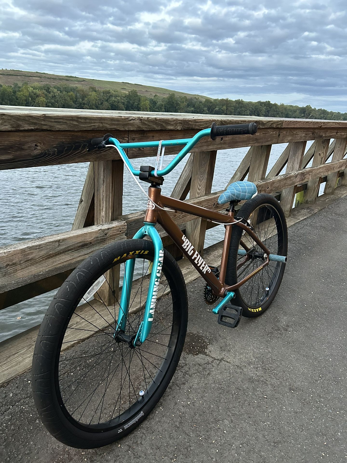 29 Inch Big Flyer Powder Coated 
