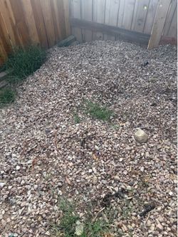 Gravel rocks