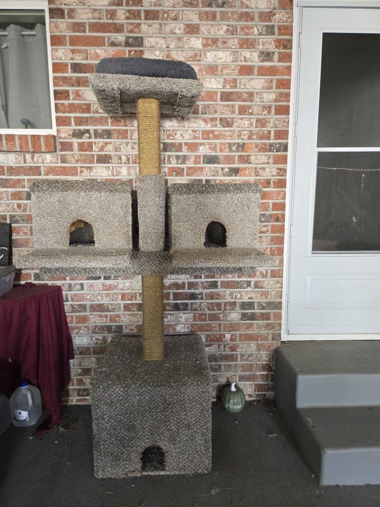 Cat Tree