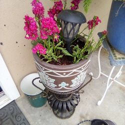 Flower In Nice Pot