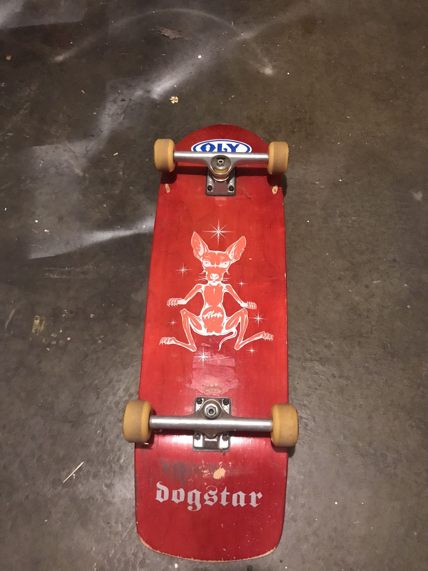 “Dogstar” Alva Poolking skateboard