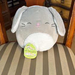 Squishmallow Blake Small 