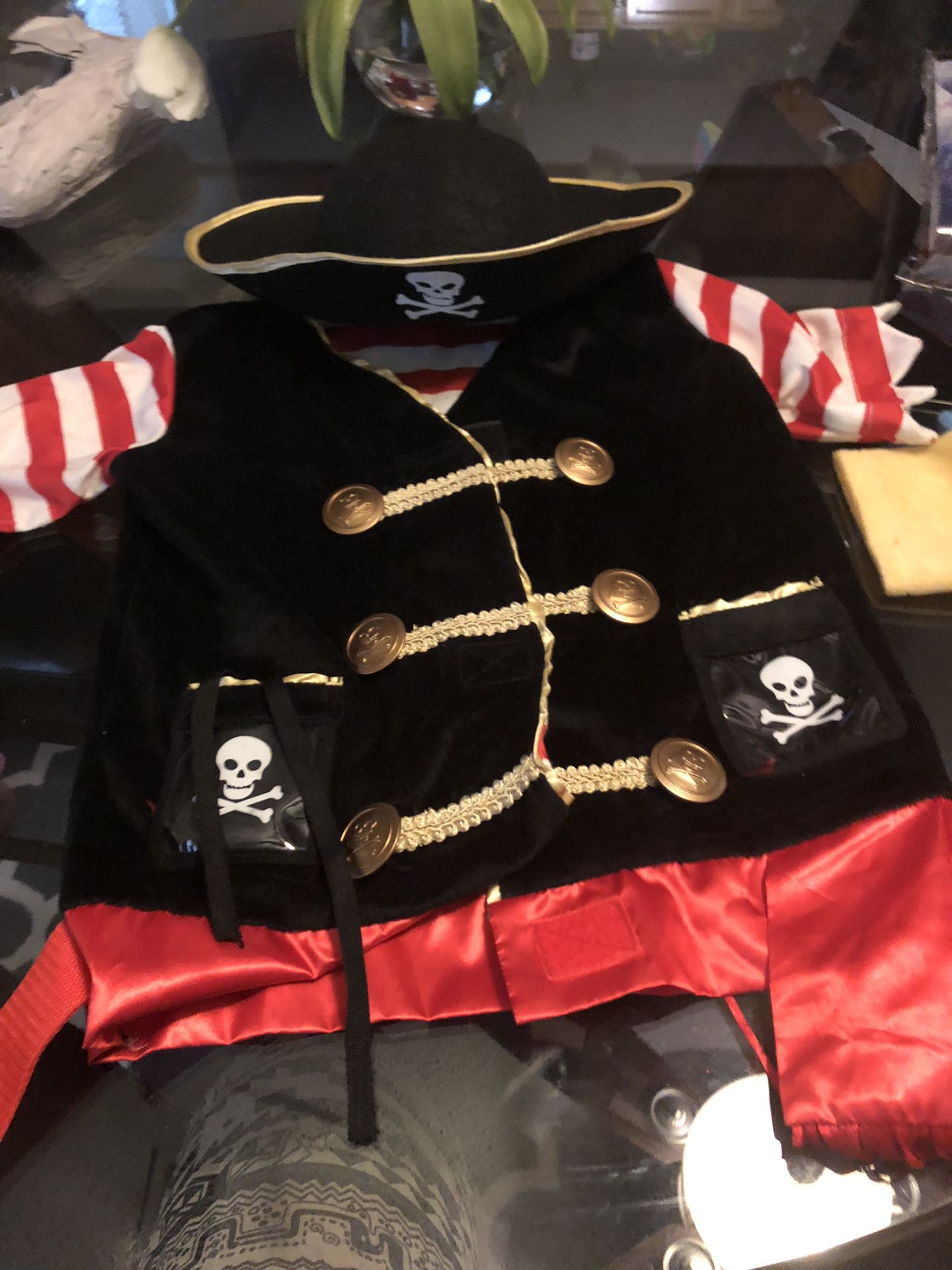 Pirate costume size (5/6)