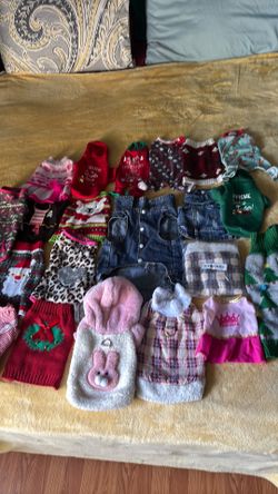 Ropa para perritas
