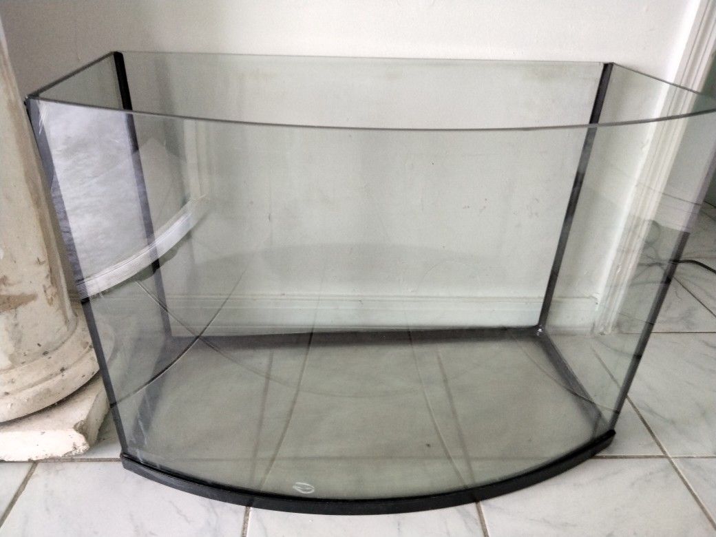 Bow Front Aquarium